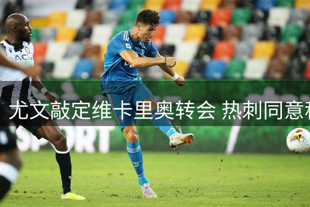 尤文敲定维卡里奥转会 热刺同意租借+选择性买断方案